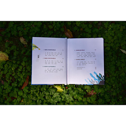 地球的笔记（魔法象·图画书王国） 商品图6