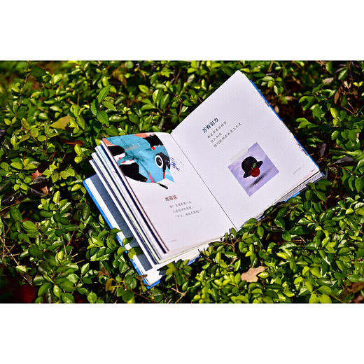 地球的笔记（魔法象·图画书王国） 商品图4