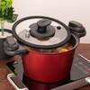 Debo 格兰杰微压锅汤锅蒸锅新升级双重泄压微压锅 商品缩略图0
