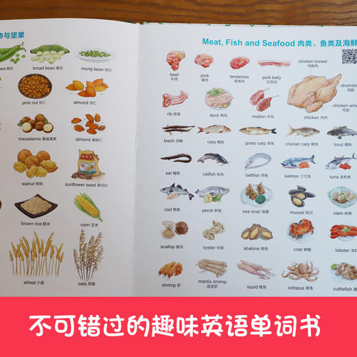 儿童英语单词启蒙认知书-看动画学单词，听韵律磨耳朵 [3-9岁] 幼儿英语 英语启蒙 商品图3