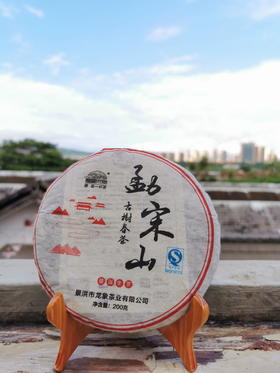 勐宋山古树春茶