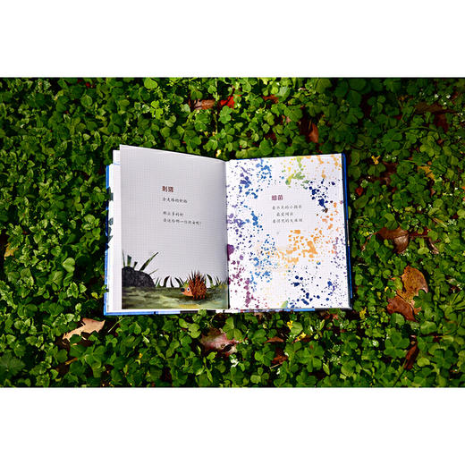 地球的笔记（魔法象·图画书王国） 商品图7