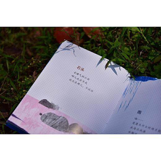 地球的笔记（魔法象·图画书王国） 商品图2