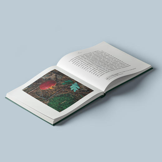 《瓦尔登湖》：纪念版、经典译林版 商品图3