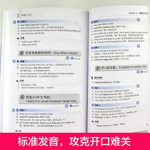 英语入门王：从ABC到流畅口语 商品图4