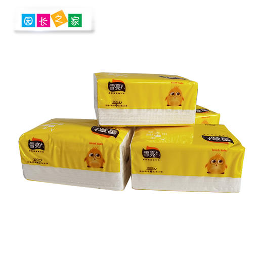 雪亮抽纸4层300抽10包 商品图1