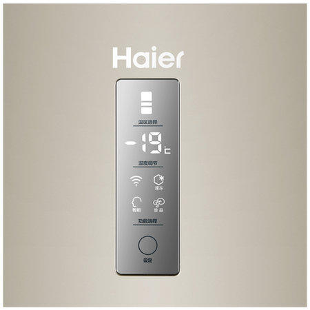 海尔（Haier）冰箱BCD-251WDPTU1 商品图2