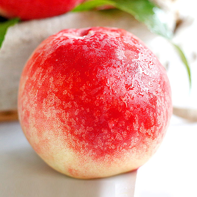 【桃子季的第六年】来自黄河故道两岸砀山惊夏脆桃 净重4.5左右