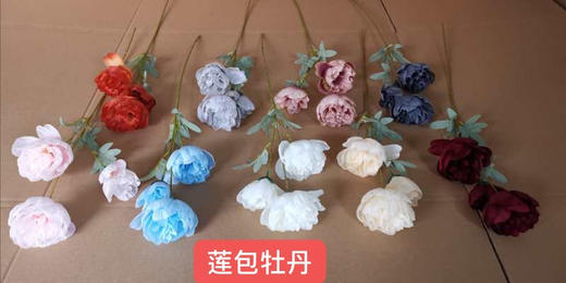 莲包牡丹【运费自理】 商品图0