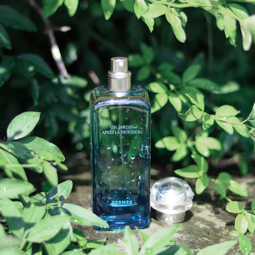 爱马仕 雨后花园（印度花园） Hermes Un Jardin Apres la Mousson 分装 商品图1