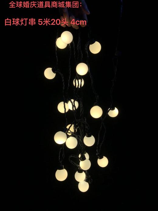 圆球灯串【运费自理】 商品图2
