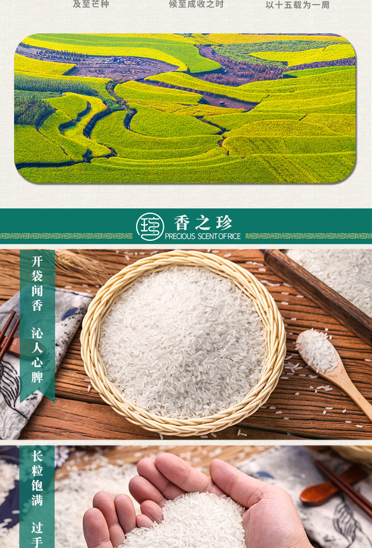 瑶珍瑶山香米香禾米5kg小长粒香米10斤大米籼米绿色食品软糯香甜