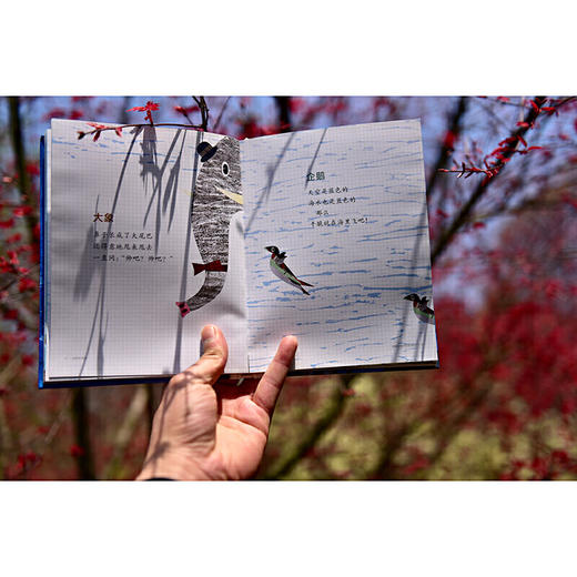 地球的笔记（魔法象·图画书王国） 商品图5