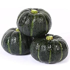 自产 /贝贝南瓜 （板栗南瓜） 单品零售，中通包邮