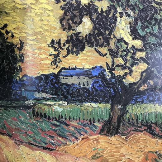 梵高画集70幅彩色插图平装大16开