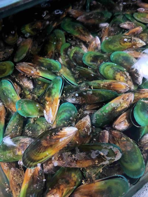 新西兰青口贝,1斤 商品图0