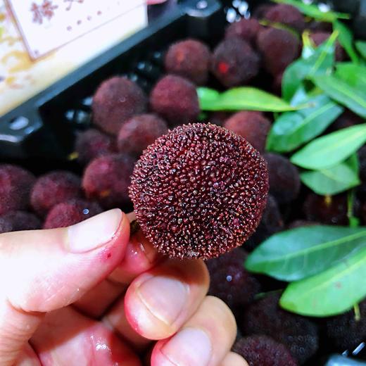 杨梅,肉质细嫩丝滑,健脾开胃,生津止渴～夏季必吃水果,冰镇口感更佳!