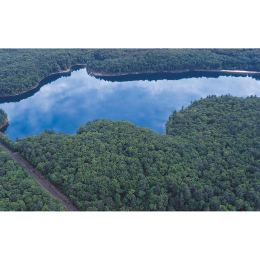 《瓦尔登湖》：纪念版、经典译林版 商品图7