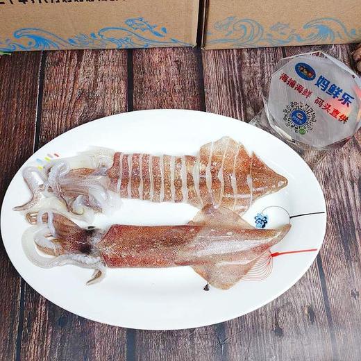 【鲜鱿鱼圈】妈鲜乐精选鱿鱼切好，新鲜不泡水，炒后不出水，鱿鱼味十足，好评率100%！ 商品图3