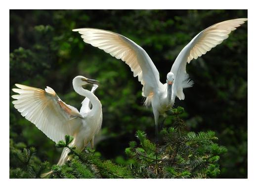 “万水千山 一鹭有你” ——FM104.5花样旅行团端午野奢之旅 商品图3