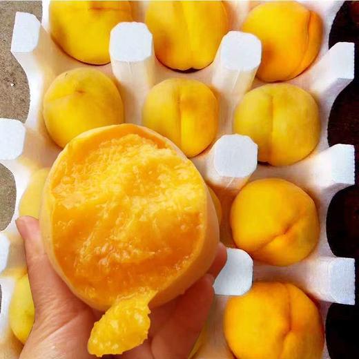 预售6月25号发黄桃新鲜孕妇水果3斤5斤包邮砀山桃子非锦绣甜桃油桃