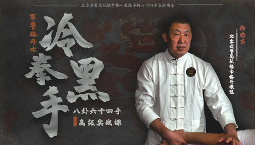 八卦六十四手高级实战课 商品图0