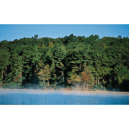 《瓦尔登湖》：纪念版、经典译林版 商品图8