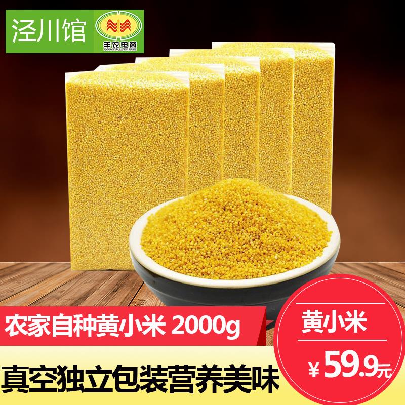 【泾川馆】丰农电商  农家自种黄小米