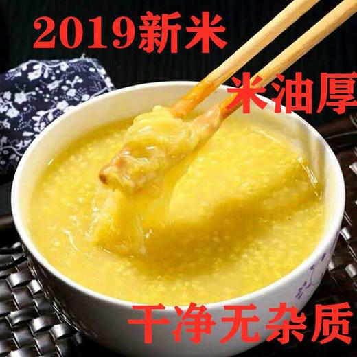 【泾川馆】丰农电商  农家自种黄小米 商品图3