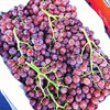 【新疆玻璃翠葡萄】约4.3斤/盒。脆甜，新疆直供 商品缩略图3
