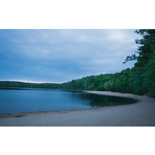 《瓦尔登湖》：纪念版、经典译林版 商品图9