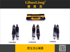 理宝龙后减震