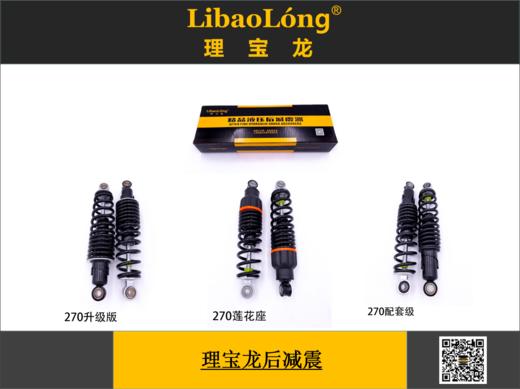 理宝龙后减震 商品图0