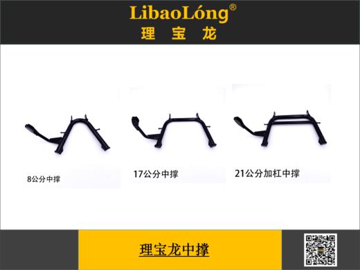 理宝龙中撑 商品图0