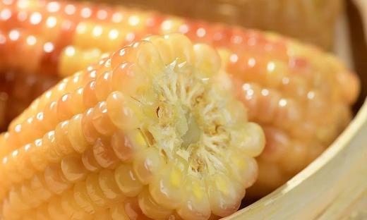 香糯小玉米 商品图0