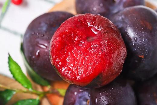 陕西61玫瑰李果型圆润个头大肉厚核小多汁果味浓郁香甜好吃肉质细腻