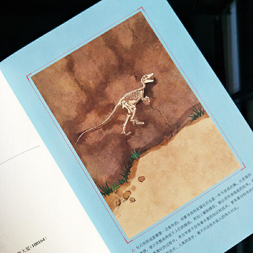 爷爷的爷爷哪里来三四年级课外阅读）：又名人类起源的演化过程 商品图2