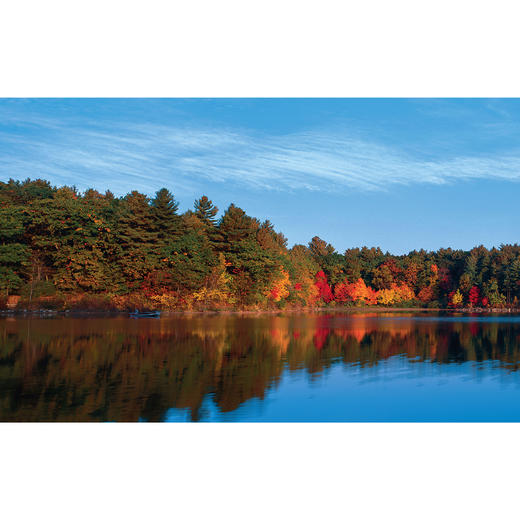 《瓦尔登湖》：纪念版、经典译林版 商品图10