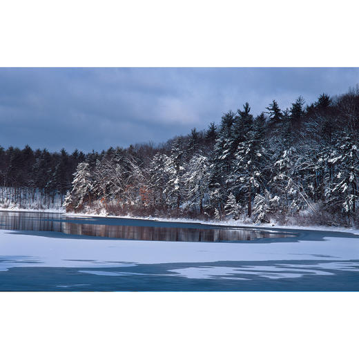 《瓦尔登湖》：纪念版、经典译林版 商品图11