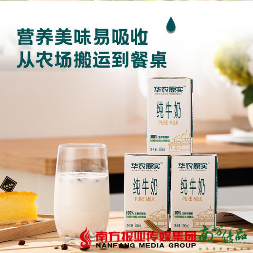 【珠三角包邮】华农原实 纯牛奶 250ml*16支/ 箱 （5月20日到货） 商品图3