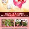 韩后玫瑰精油亮肤珍贵礼盒JPY带授权招加盟代理 商品缩略图3