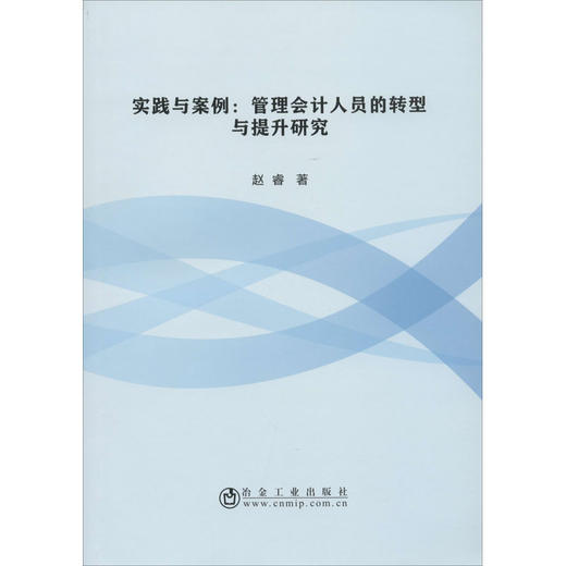 实践与案例:管理会计人员的转型与提升研究 商品图0