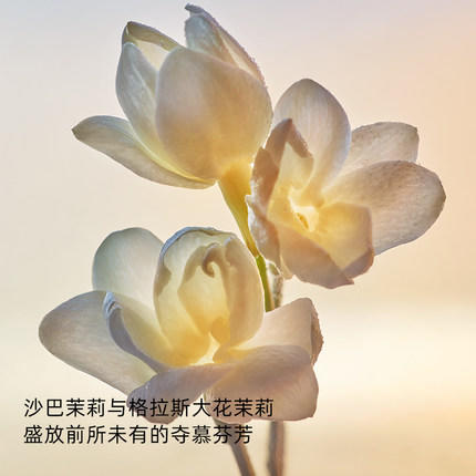 Dior迪奥 真我香水50ml/100ml 经典女士香水浓香EDP 优雅花香 商品图1