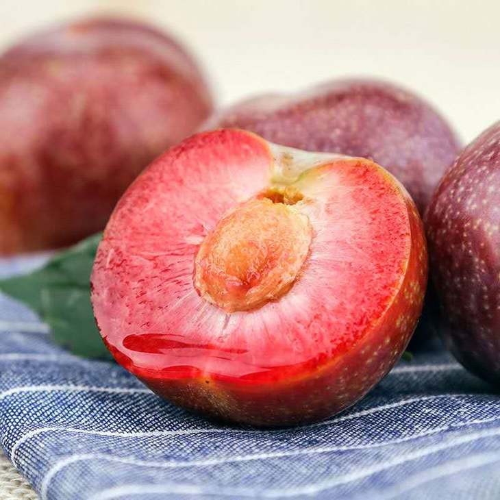 【爱心助农】蒲城县刘生秦家的玫瑰李 - 嗨淘镇江