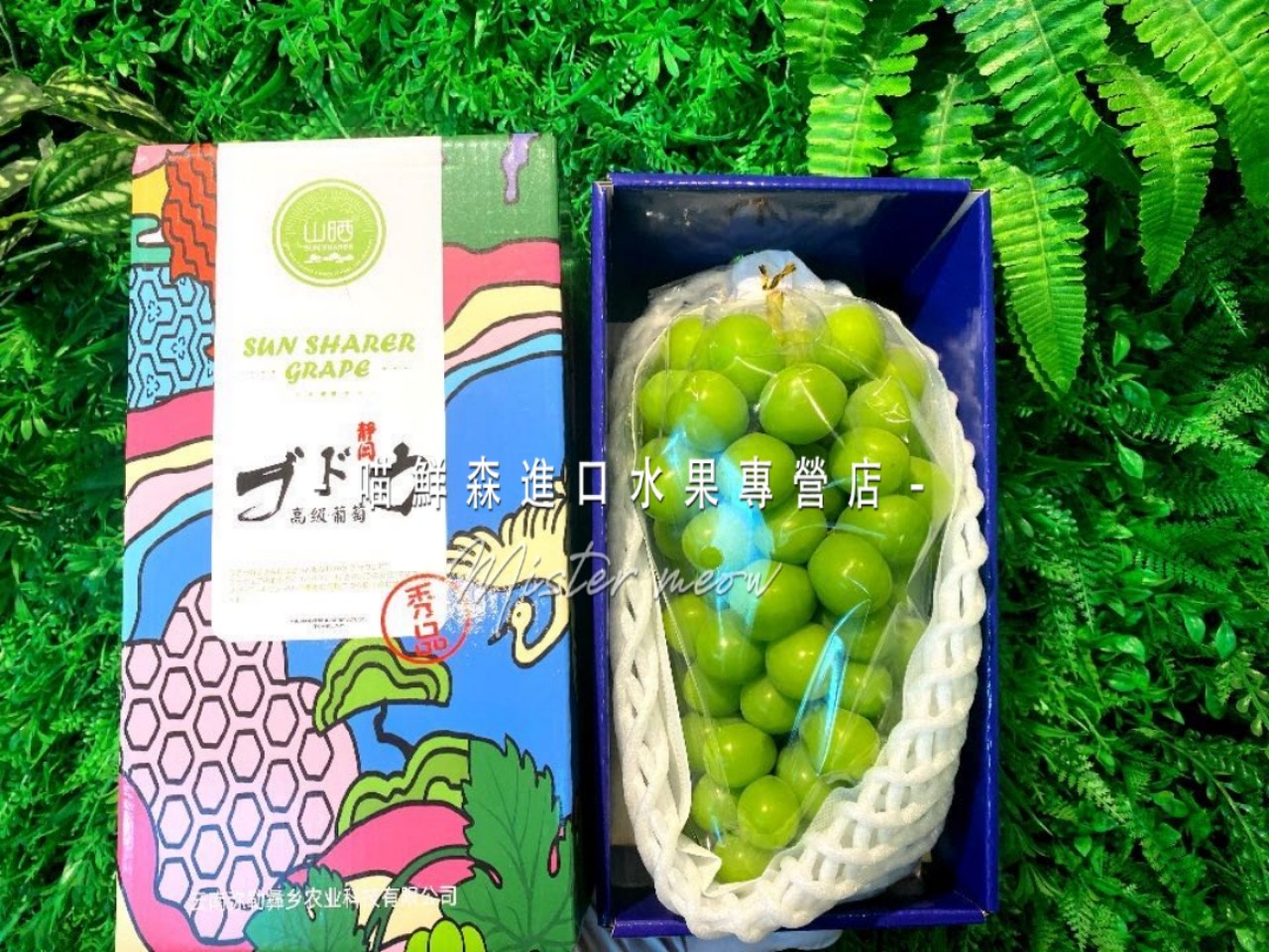 【特秀级大串】云南香印青提 晴王阳光玫瑰（带花香纯甜）900克以上一串（发全国）