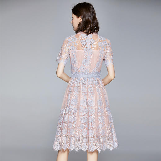 气质名媛网纱立领睫毛花边袖双色蕾丝收腰连衣裙货号bhs41732