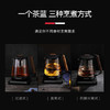 Macaiiroos/迈卡罗玻璃养生壶家用多功能熬中药煲煎药壶全自动 商品缩略图1