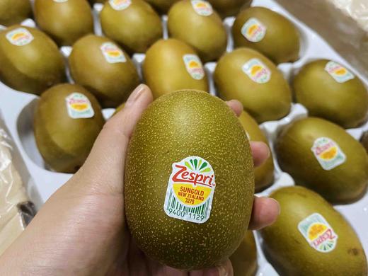 【维C王者】新西兰佳沛阳光金果奇异果22头/11头，酸甜可口！ 商品图1