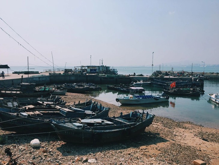 竹岔岛又叫鸡鸣岛, 由竹岔岛,脱岛,大石岛,小石岛四岛组成, 总面积0.