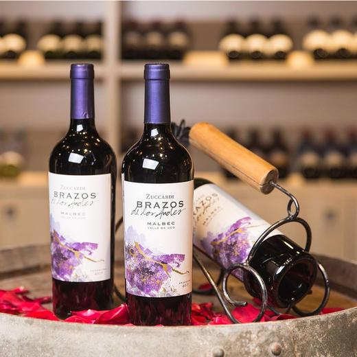 安第斯之臂马尔贝克13.5度红葡萄酒2017x750ml 阿根廷 商品图2
